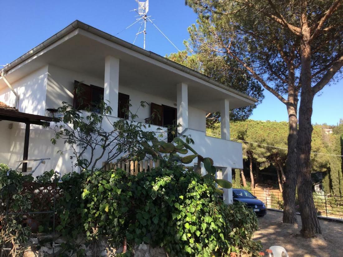 Villa Barabarca Capoliveri  Extérieur photo